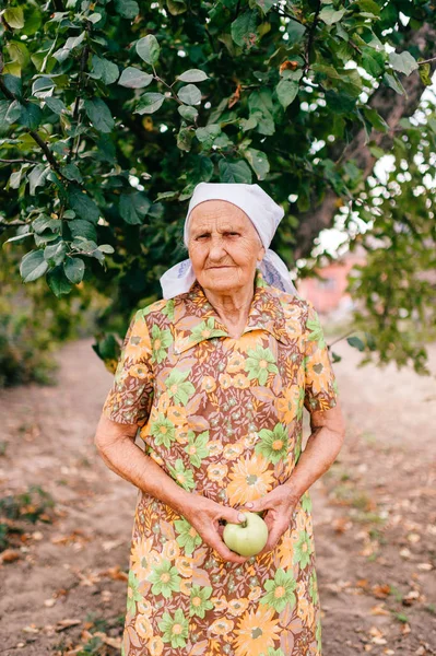 Alte Frau Mit Apfel Der Hand Steht Sommergarten — Stockfoto