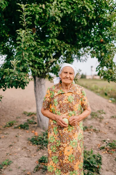 Old Woman Apple Hands Standing Summer Garden — Stock Photo, Image