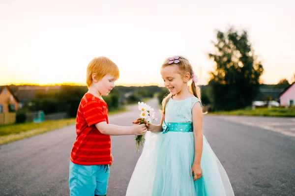 Leuke Gelukkige Kinderen Zomerdag Het Platteland — Stockfoto