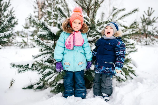 冬の雪の森の中の少女と少年のポーズ — ストック写真