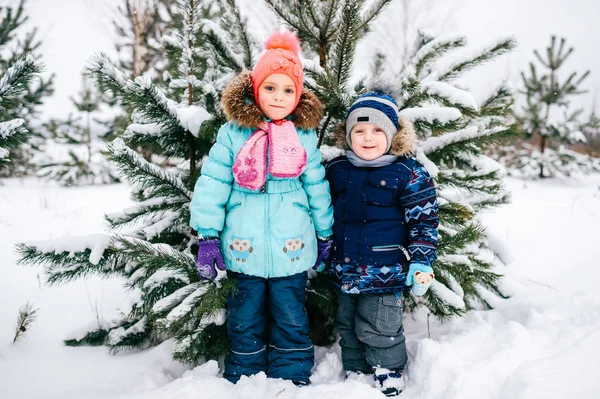 Bambina Ragazzo Posa Nella Foresta Innevata Invernale — Foto Stock