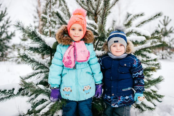 Μικρό Κορίτσι Και Αγόρι Που Ποζάρει Χειμώνα Χιονισμένο Δάσος — Φωτογραφία Αρχείου