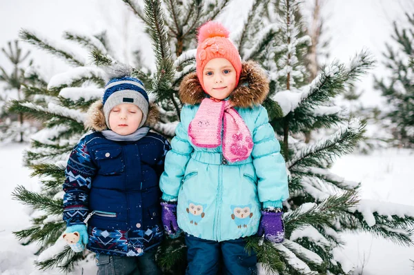 冬の雪の森の中の少女と少年のポーズ — ストック写真