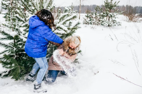 Mulheres Divertindo Floresta Inverno Juntos — Fotografia de Stock