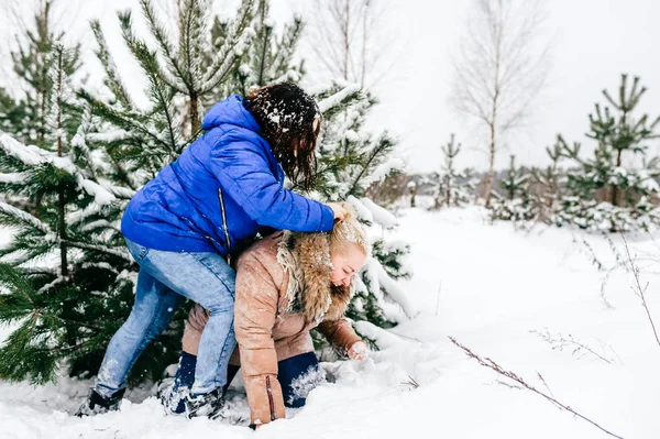 Vrouwen Met Plezier Winter Bos Samen — Stockfoto