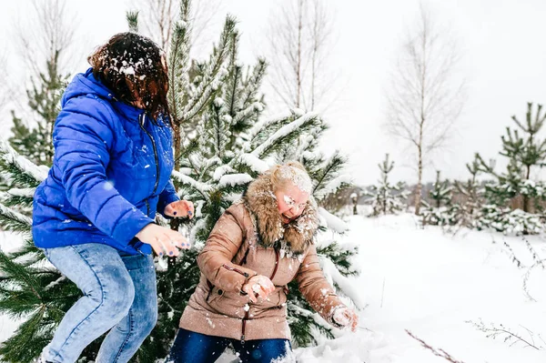 Kvinnor Som Har Roligt Vinter Skogen Tillsammans — Stockfoto