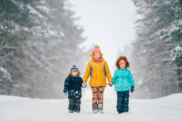 Malí Kavkazští Děcka Drželi Ruce Když Stáli Zimním Lese — Stock fotografie