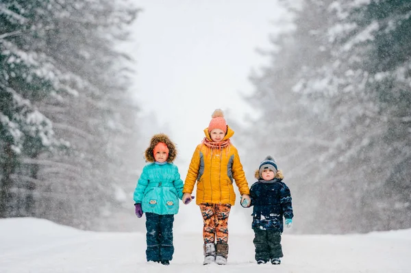 Små Kaukasiska Barn Håller Händer Medan Står Vinter Skogen — Stockfoto