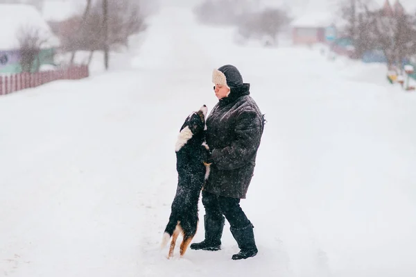 Mulher Caucasiana Bonito Cão Dia Inverno — Fotografia de Stock