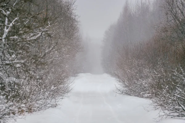 Γραφική Θέα Του Δάσους Όμορφο Χειμώνα Καλυμμένα Χιόνι — Φωτογραφία Αρχείου