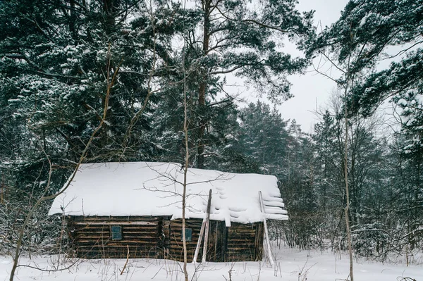 Drewniany Dworek Pokryte Spadł Śnieg — Zdjęcie stockowe