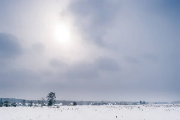 Malowniczy Widok Okolicę Pokryte Upadłym Śniegiem — Zdjęcie stockowe