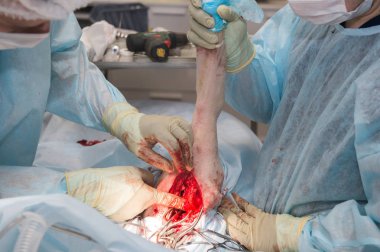 Veterinerler hayvan hastalıklarıyla ilgili klinik hasta köpek için ameliyat yapma kısmi görünümünü