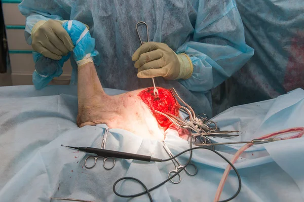 partial view of vets making surgery to sick dog in veterinary clinic