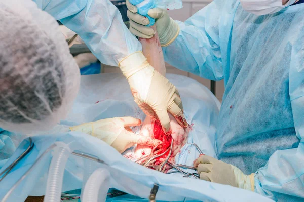 Visão Parcial Veterinários Que Fazem Cirurgia Cão Doente Clínica Veterinária — Fotografia de Stock