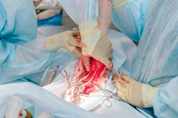 partial view of vets making surgery to sick dog in veterinary clinic