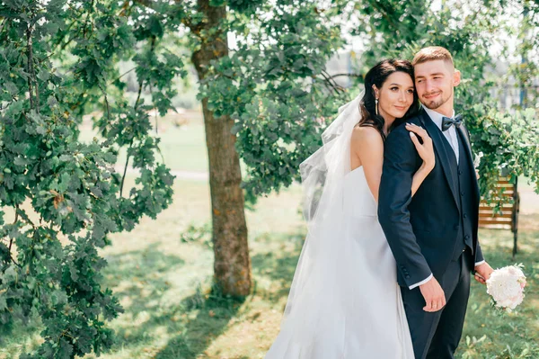 Novia Romántica Novio Posando Aire Libre —  Fotos de Stock