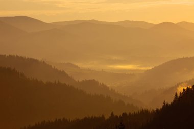 Sabah erken ışık ormanda dağlar kaplı