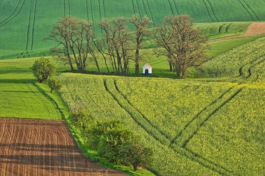 Saint Barbara'nın kilisede Güney Moravia, Çek Cumhuriyeti'nde popüler seyahat hedef