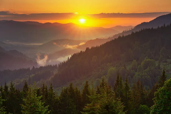 森に覆われた山々 の美しい日の出 — ストック写真