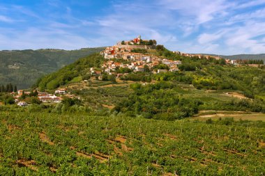 Hırvatistan 'ın Motovun kentine manzara