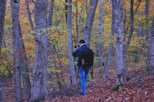 A fotós lefényképezi az erdőt. — Stock Fotó