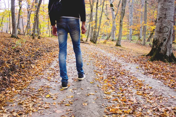 Молодой человек, гуляющий в лесу — стоковое фото