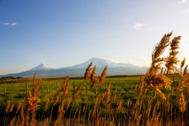 Koltuk de soleil sur le Mont Ararat milletvekili Armnie