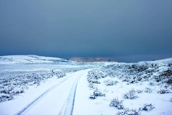 Prašná Cesta Zimě Lesích — Stock fotografie
