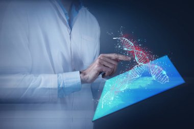 3D resimleme DNA ve virüs