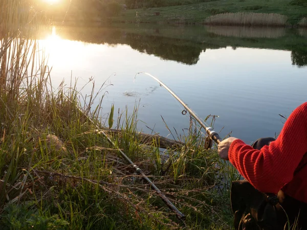 Evening fishing. Duel of the fisherman and a fish. Fisherman cuts a fish. The rod is springs and bends. Splashes fly away.