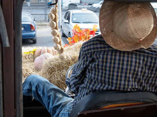 Tractor Parking Lot Supermarket Pumpkins Hay Garlic Tractor Next Stuffed — Stock Photo, Image