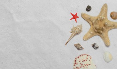 Deniz kabuklarını, denizyıldızı ışık arka plan üzerinde bileşimi. Deniz tasarım.