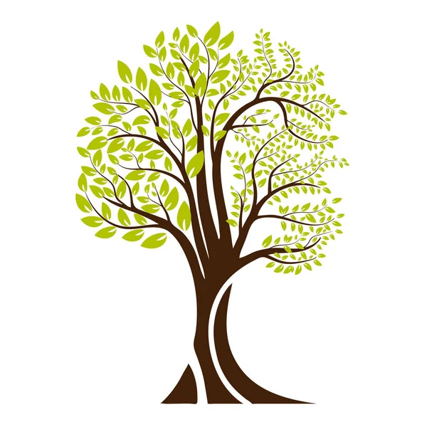 Yeşil Ağaç Siluet Beyaz Arka Plan Üzerinde Izole Vektör Çizim — Stok Vektör