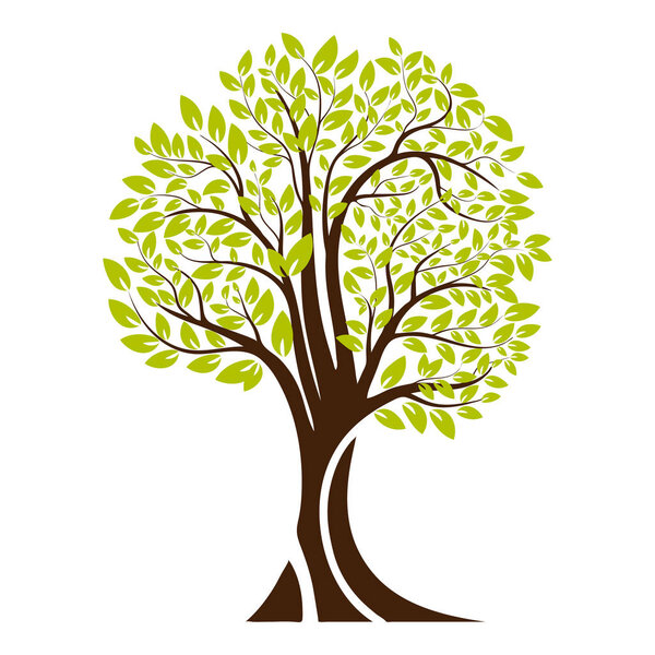 Green tree silhouette. Isolated on white background. Vector illustration
