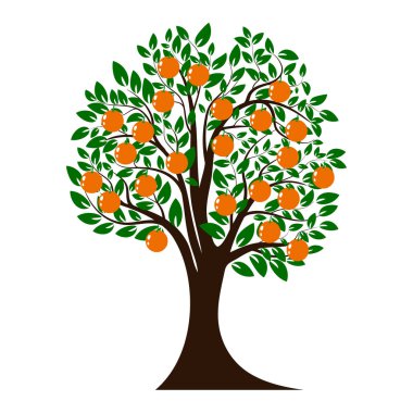Yeşil ağaç siluet. Turuncu meyveler ile Noel ağacı. Beyaz arka plan üzerinde izole. Vektör çizim
