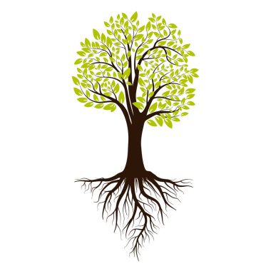 Yeşil ağaç siluet. Beyaz arka plan üzerinde izole. Vektör çizim