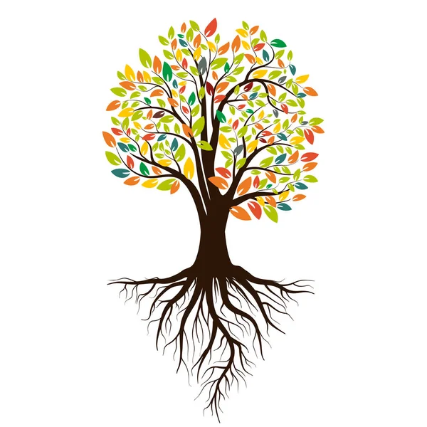 Herbstsilhouette Eines Baumes Mit Farbigen Blättern Baum Mit Wurzeln Isoliert — Stockvektor