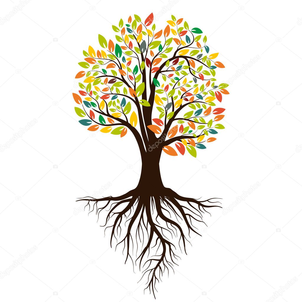 Autumn silhouette of a tree with colored leaves. Tree with roots. Isolated on white background. Vector illustration