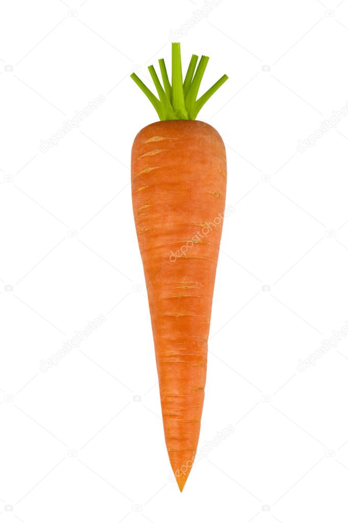 Carrot. Isolated on white background. The selected path.