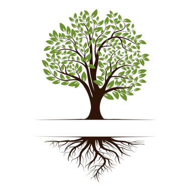 Logo of a green tree with roots and leaves. Vector illustration icon isolated on white background. clipart