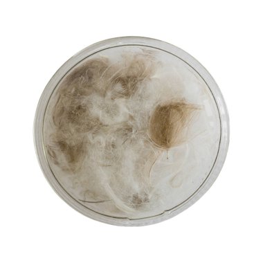 Yüzeysel ve tüy yuvarlak bir plastik torba. Beyaz arka plan üzerinde izole. Dolgu için ceket aşağı.