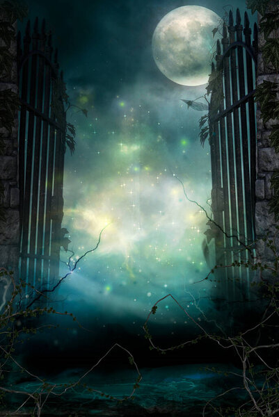 Portal under fantasy style moonlight