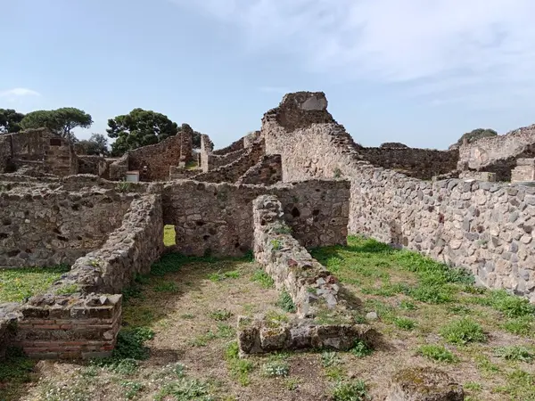Vezüv Dağı 'nın patlaması sonucu gömülü antik Roma kenti Pompei, Roma İmparatorluğu döneminde günlük hayata dair eşsiz bir bakış sunan UNESCO Dünya Mirası Alanı olarak duruyor..