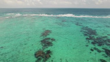 Karayip kıyı şeridinin berrak turkuaz suyundan görülebilen sığ resif..