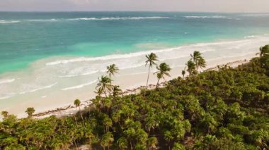 Parlak kıyı şeridi boyunca uzanan palmiyeler Meksika sahillerinde dalgalanır..