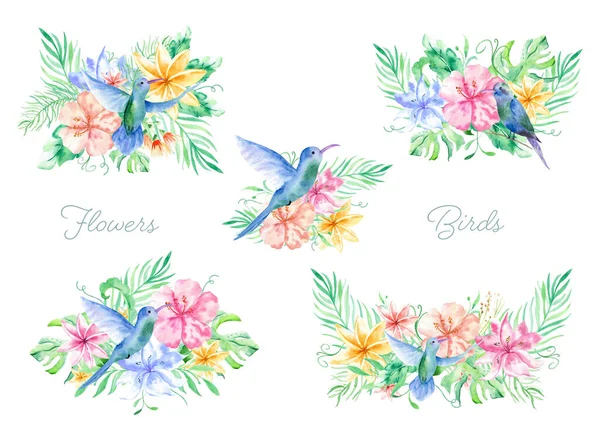 Bouqet acquerello con fiori tropicali, foglie e colibrì. Hawaiian illustrazioni esotiche per biglietto di auguri, matrimonio, carta da parati — Foto Stock