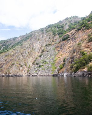 Ribeira Sacra bölgesinde (Galiçya, İspanya) Sil Kanyonu 'nun yamaçlarında bulunan üzüm bağları. Kahramanca bağcılığın örnekleri..