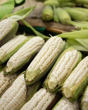 Mexico City 'deki San Juan pazarında organik mısır koçanları..