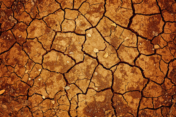Texture cracked earth